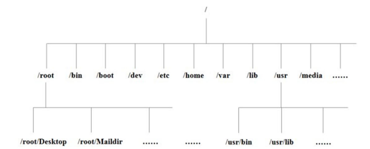 image-20220818094044556